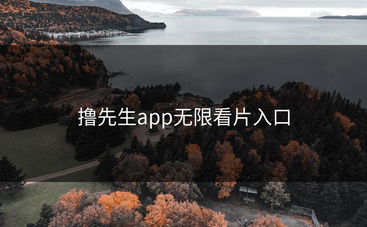 撸先生app无限看片入口