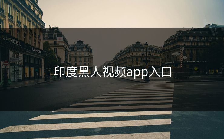 印度黑人视频app入口