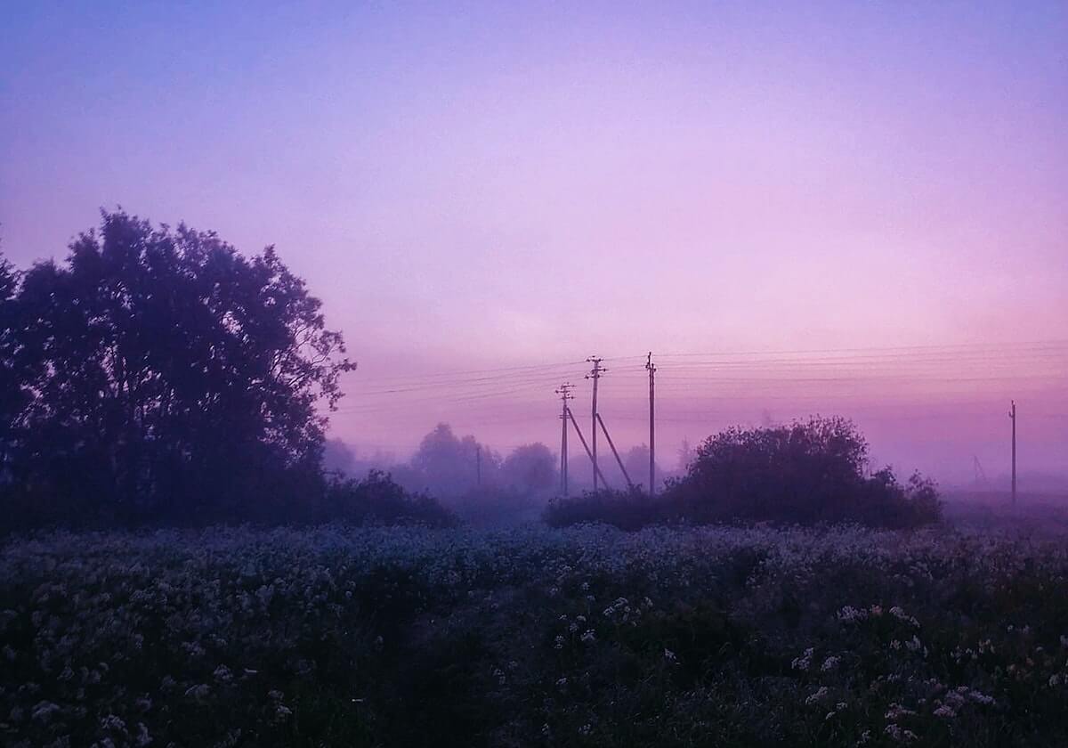 成人电影免费在线观看入口