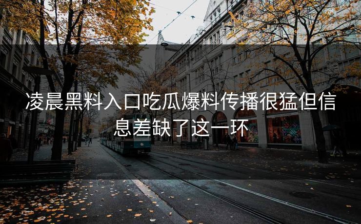 凌晨黑料入口吃瓜爆料传播很猛但信息差缺了这一环